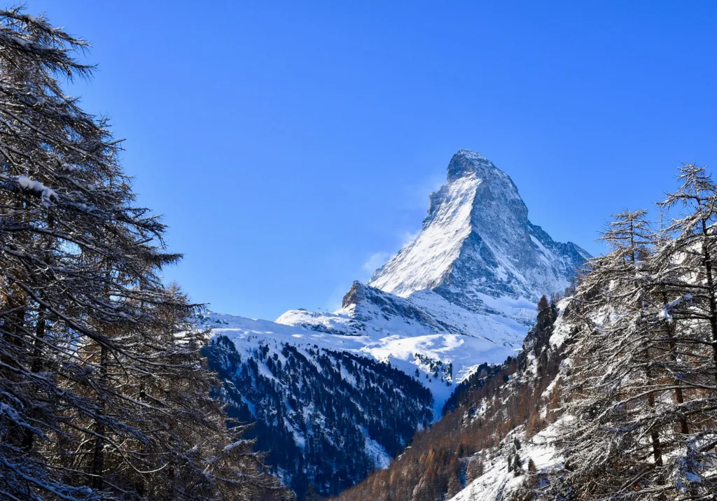 Découvrez comment lancer votre e-commerce en valais avec cordonier conseil