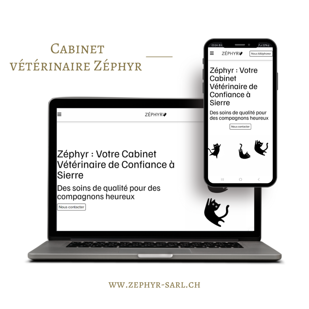 Site web de Zéphyr Sarl réalisé par cordonier conseil